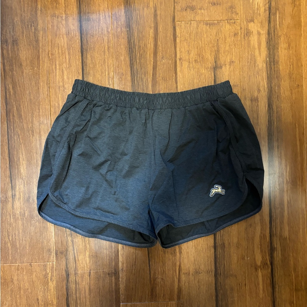Tracksmith shorts